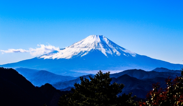 新着情報の画像